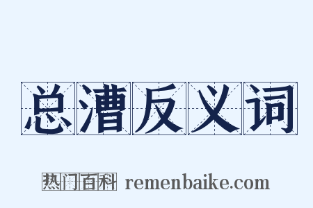 总漕反义词是什么意思的图片